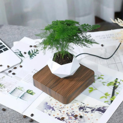 The Orbit | Anti-Gravity Zen Garden